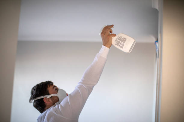 Best Mold Testing  in Red Lake Falls, MN