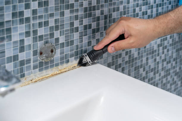 Best Best Mold Removal Companies  in Red Lake Falls, MN