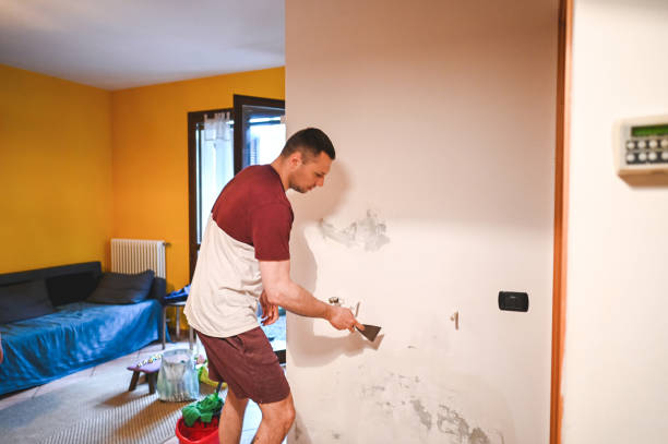 Best Local Mold Removal Service  in Red Lake Falls, MN